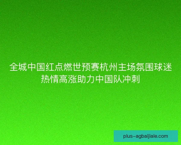 全城中国红点燃世预赛杭州主场氛围球迷热情高涨助力中国队冲刺